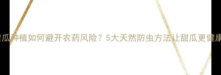 图片 🌱甜瓜种植如何避开农药风险？5大天然防虫方法让甜瓜更健康🍈1
