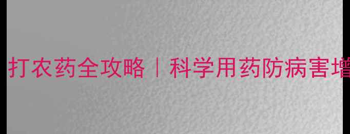 图片 🌱生姜种植必看！打农药全攻略｜科学用药防病害增产技巧大公开✅2