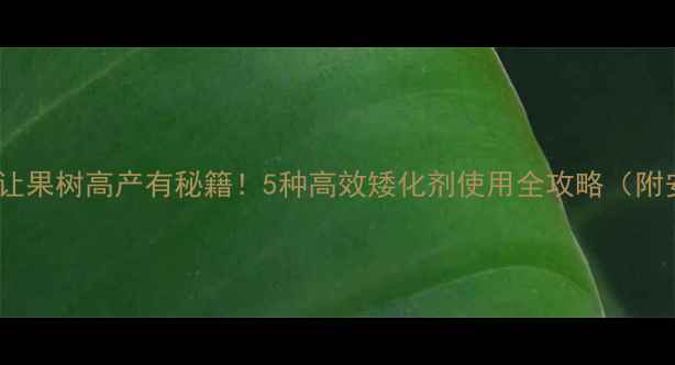 图片 🌱矮化农药让果树高产有秘籍！5种高效矮化剂使用全攻略（附安全指南）2