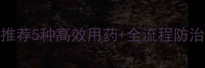 图片 🌱种植户必看憨烟农药推荐5种高效用药+全流程防治技巧！新手老手都收藏