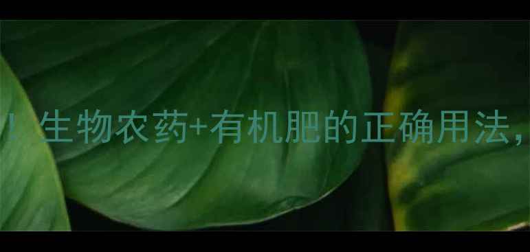 图片 🌱种菜不伤身！生物农药+有机肥的正确用法，新手必看🌿2
