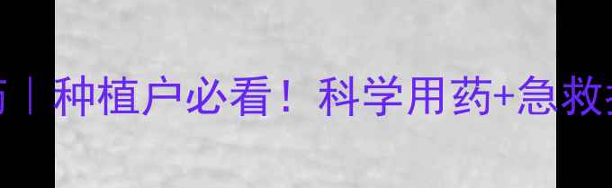 图片 🌱西硫磷农药解毒药｜种植户必看！科学用药+急救指南（附真实案例）