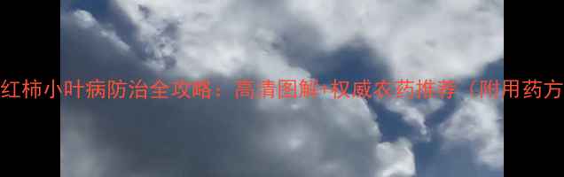 图片 🌱西红柿小叶病防治全攻略：高清图解+权威农药推荐（附用药方案）