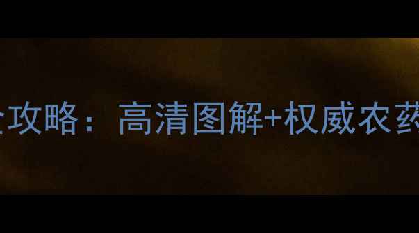 图片 🌱西红柿小叶病防治全攻略：高清图解+权威农药推荐（附用药方案）1