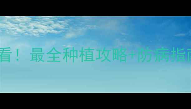 图片 🌱豆丰农药江苏产必看！最全种植攻略+防病指南，助你丰收增收💰2