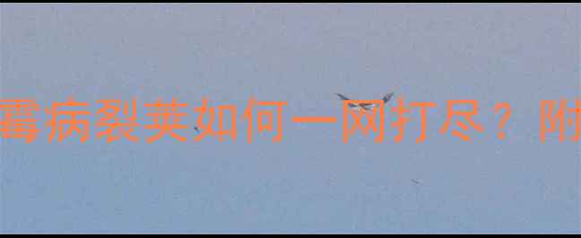 图片 🌱豆类结果期必看！豆荚虫害霉病裂荚如何一网打尽？附3种高效低毒农药配比攻略🌾2
