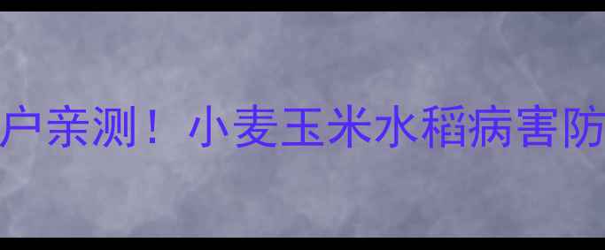 图片 🌱银农威杀菌剂实测报告种植户亲测！小麦玉米水稻病害防控全攻略（附安全使用指南）