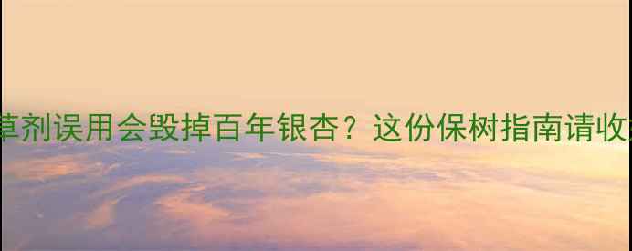 图片 🌱除草剂误用会毁掉百年银杏？这份保树指南请收好！2