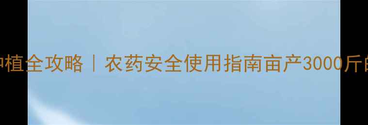 图片 🌱马铃薯高效种植全攻略｜农药安全使用指南亩产3000斤的秘诀大公开！