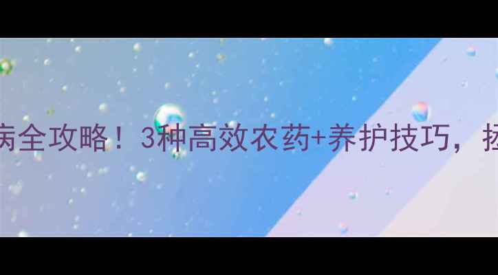 图片 🌳杉树叶枯病全攻略！3种高效农药+养护技巧，拯救枯黄杉树