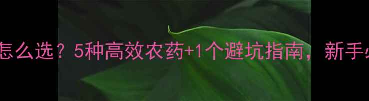 图片 🌹月季农药怎么选？5种高效农药+1个避坑指南，新手必看！👩🌾1