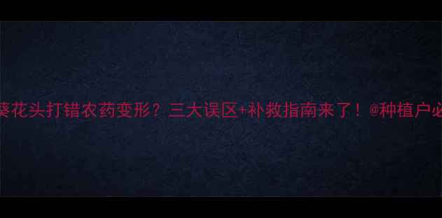 图片 🌻葵花头打错农药变形？三大误区+补救指南来了！@种植户必看