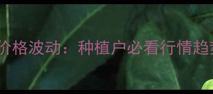 图片 🌽北票爆裂玉米价格波动：种植户必看行情趋势与市场预测🌾2