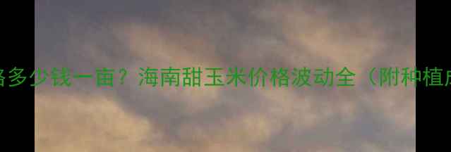 图片 🌽海南甜玉米价格多少钱一亩？海南甜玉米价格波动全（附种植成本+收购行情）1