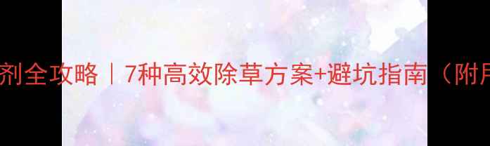 图片 🌽玉米田除草剂全攻略｜7种高效除草方案+避坑指南（附用药时间表）2