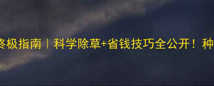 图片 🌽玉米除草剂终极指南｜科学除草+省钱技巧全公开！种粮人必看干货1