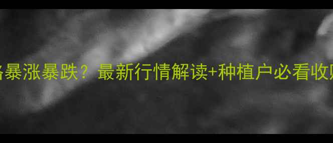 图片 🌾11月6日安徽玉米价格暴涨暴跌？最新行情解读+种植户必看收购指南（附实时数据）1