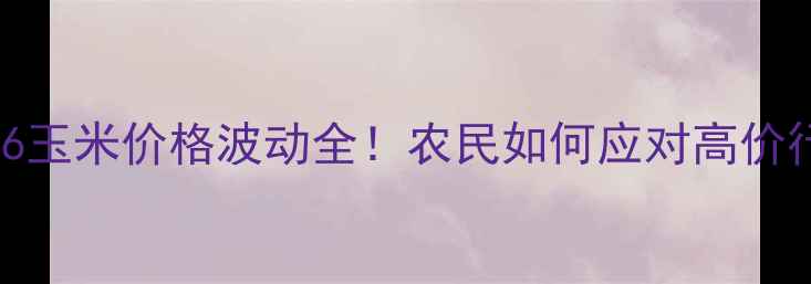 图片 🌾7月26玉米价格波动全！农民如何应对高价行情？1