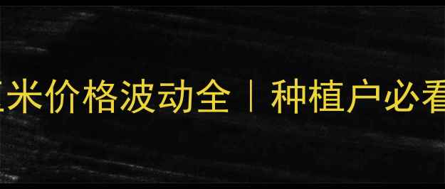 图片 🌾9月山东玉米价格波动全｜种植户必看行情指南🌾