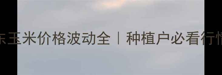 图片 🌾9月山东玉米价格波动全｜种植户必看行情指南🌾2