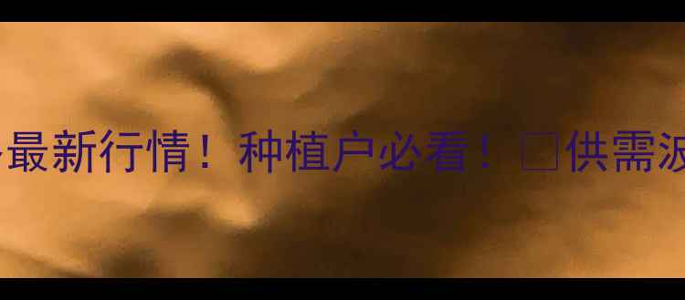 图片 🌾一级玉米价格最新行情！种植户必看！📈供需波动+政策解读💰