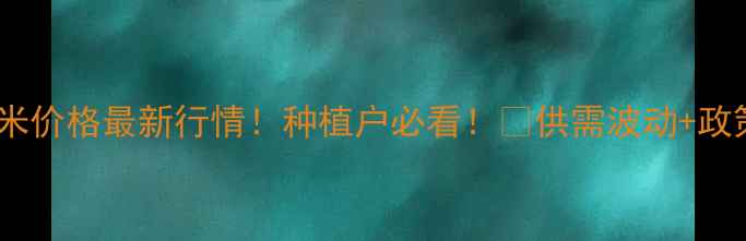 图片 🌾一级玉米价格最新行情！种植户必看！📈供需波动+政策解读💰2