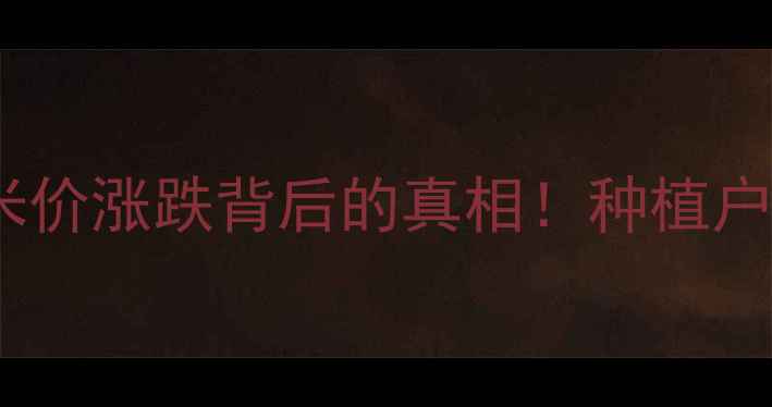图片 🌾云南宝山玉米价格全宝山玉米价涨跌背后的真相！种植户必看的行情趋势与应对指南📊1