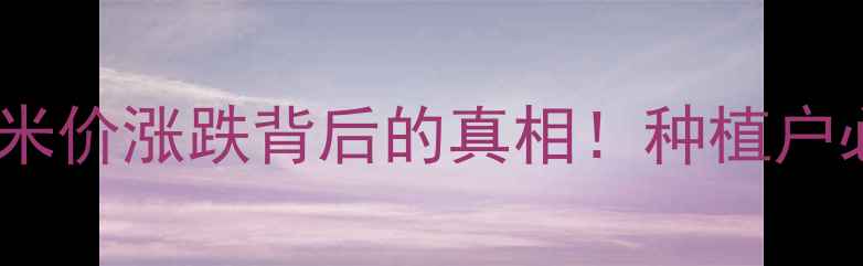 图片 🌾云南宝山玉米价格全宝山玉米价涨跌背后的真相！种植户必看的行情趋势与应对指南📊2