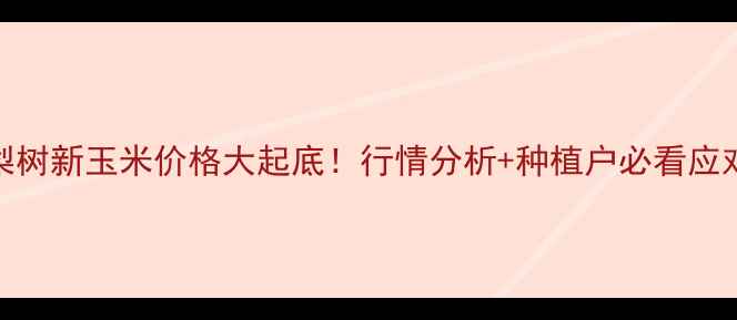 图片 🌾吉林梨树新玉米价格大起底！行情分析+种植户必看应对攻略🌾