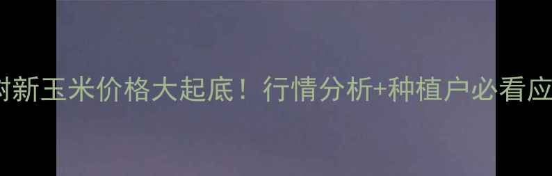 图片 🌾吉林梨树新玉米价格大起底！行情分析+种植户必看应对攻略🌾1