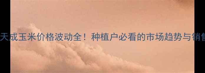 图片 🌾四平天成玉米价格波动全！种植户必看的市场趋势与销售攻略1