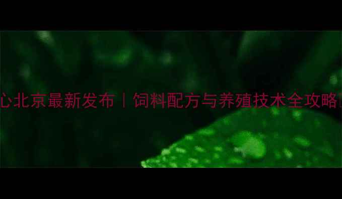 图片 🌾国家饲料中心北京最新发布｜饲料配方与养殖技术全攻略🐔养殖户必看1