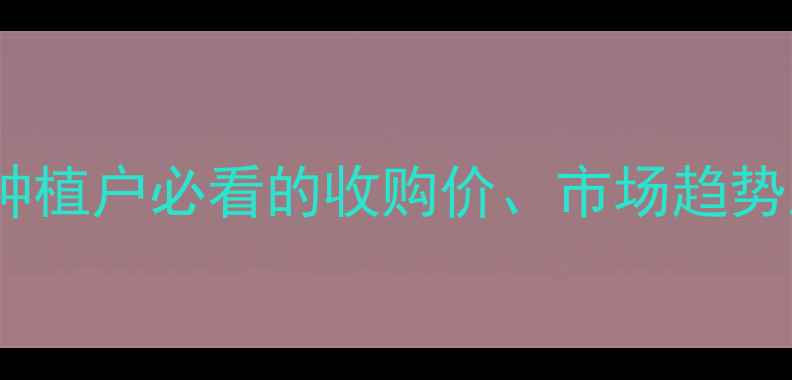 图片 🌾宁夏中卫玉米价格权威｜种植户必看的收购价、市场趋势及种植指南（附实时数据）1