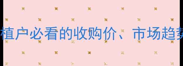 图片 🌾宁夏中卫玉米价格权威｜种植户必看的收购价、市场趋势及种植指南（附实时数据）2