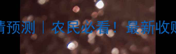 图片 🌾安徽玉米价格行情预测｜农民必看！最新收购价+未来走势全🔥1