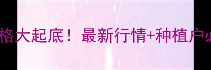 图片 🌾安阳玉米价格大起底！最新行情+种植户必看避坑指南2