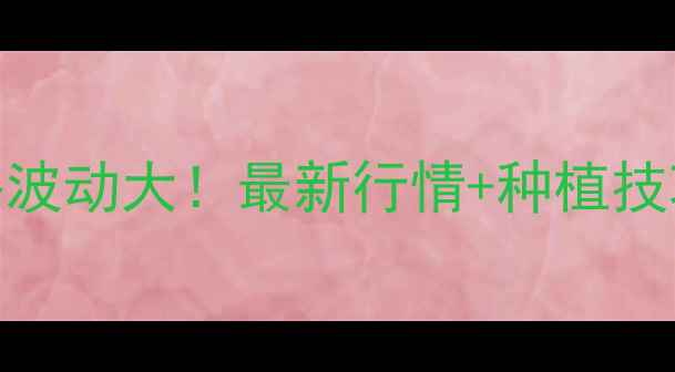 图片 🌾定兴县玉米价格波动大！最新行情+种植技巧，农民必看！🌾