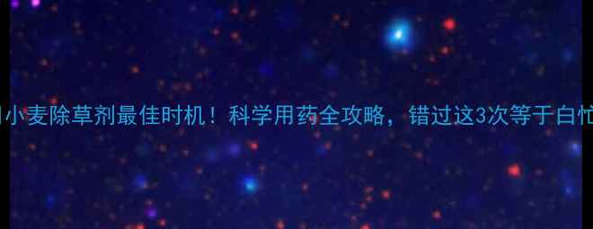 图片 🌾小麦除草剂最佳时机！科学用药全攻略，错过这3次等于白忙1