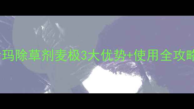 图片 🌾小麦除草技术大世玛除草剂麦极3大优势+使用全攻略！小麦种植必看！2