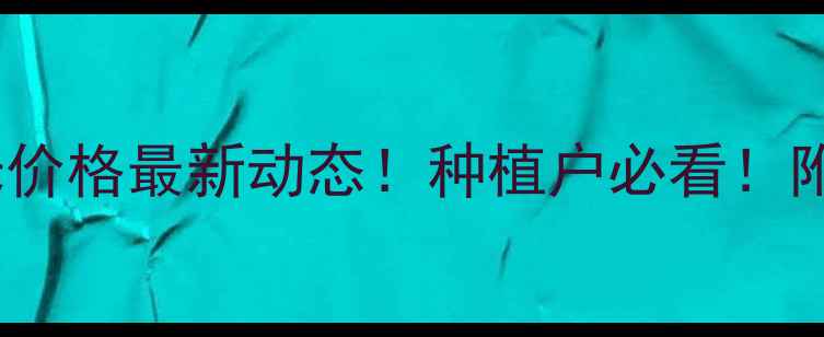 图片 🌾山东寿光玉米价格最新动态！种植户必看！附全年走势分析2