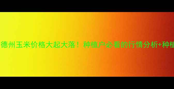 图片 🌾山东德州玉米价格大起大落！种植户必看的行情分析+种植技巧1