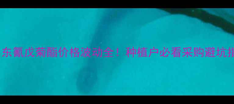 图片 🌾山东氰戊菊酯价格波动全！种植户必看采购避坑指南1