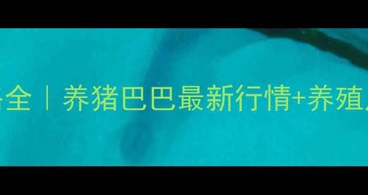 图片 🌾山东玉米价格全｜养猪巴巴最新行情+养殖户必看避坑指南