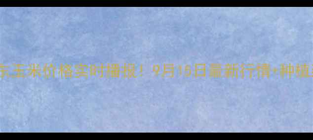 图片 🌾山东玉米价格实时播报！9月15日最新行情+种植建议2