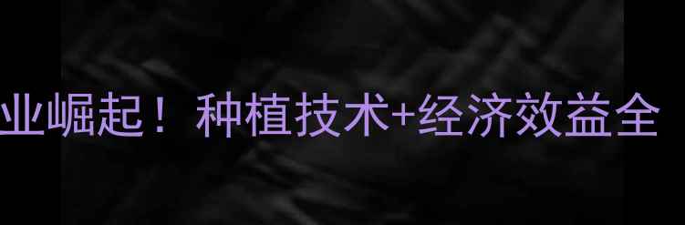 图片 🌾广东金银饲料产业崛起！种植技术+经济效益全（附种植指南）🌾1