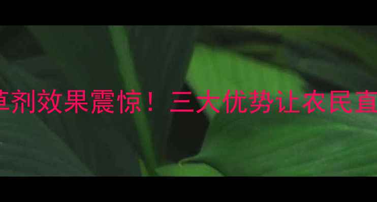 图片 🌾康乔除草剂效果震惊！三大优势让农民直呼真香🌾2