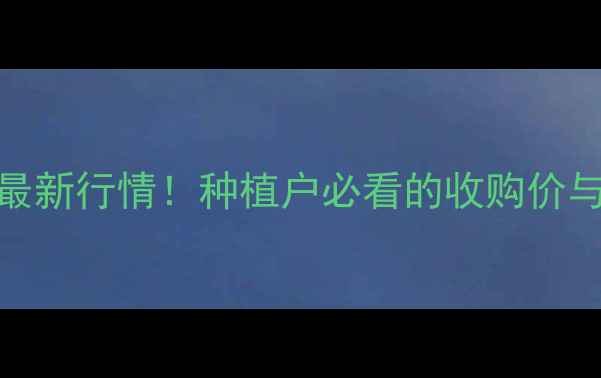 图片 🌾德州乐陵玉米价格今日最新行情！种植户必看的收购价与市场分析（附种植建议）