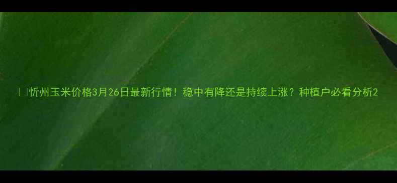 图片 🌾忻州玉米价格3月26日最新行情！稳中有降还是持续上涨？种植户必看分析2