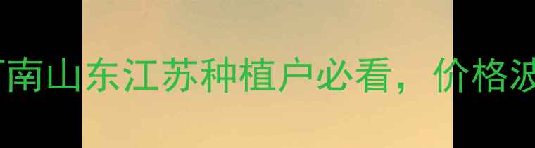 图片 🌾扑虱灵价格全！河南山东江苏种植户必看，价格波动+防治技巧全公开