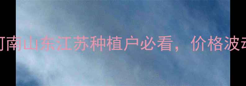 图片 🌾扑虱灵价格全！河南山东江苏种植户必看，价格波动+防治技巧全公开2